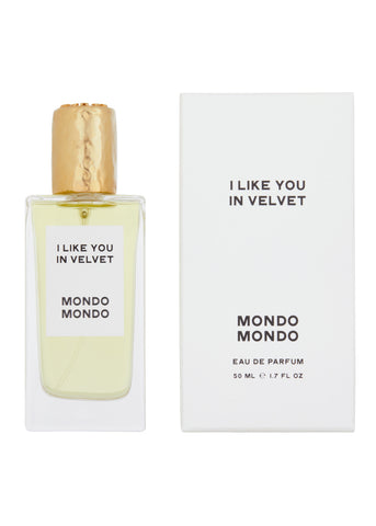 I Like You In Velvet