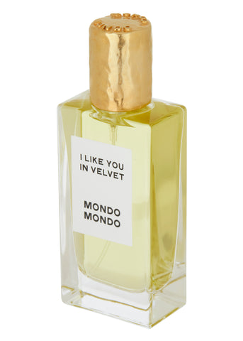 I Like You In Velvet