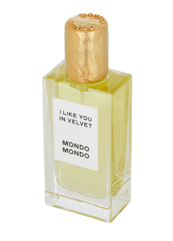 I Like You In Velvet